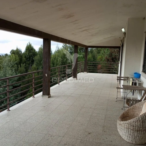 Quinta T4 para Venda em Talhadas Foto 5