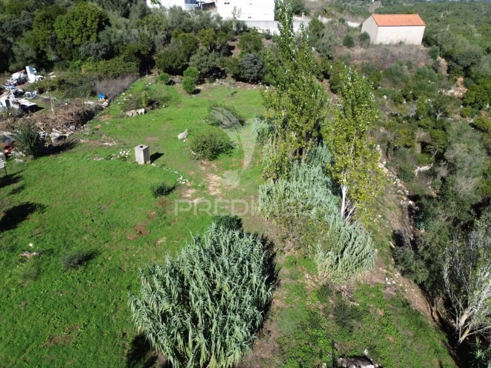 Terreno para Venda em Fatima Foto 22