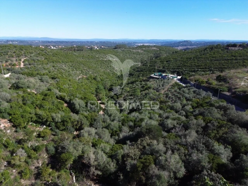 Terreno para Venda em Fatima Foto 19