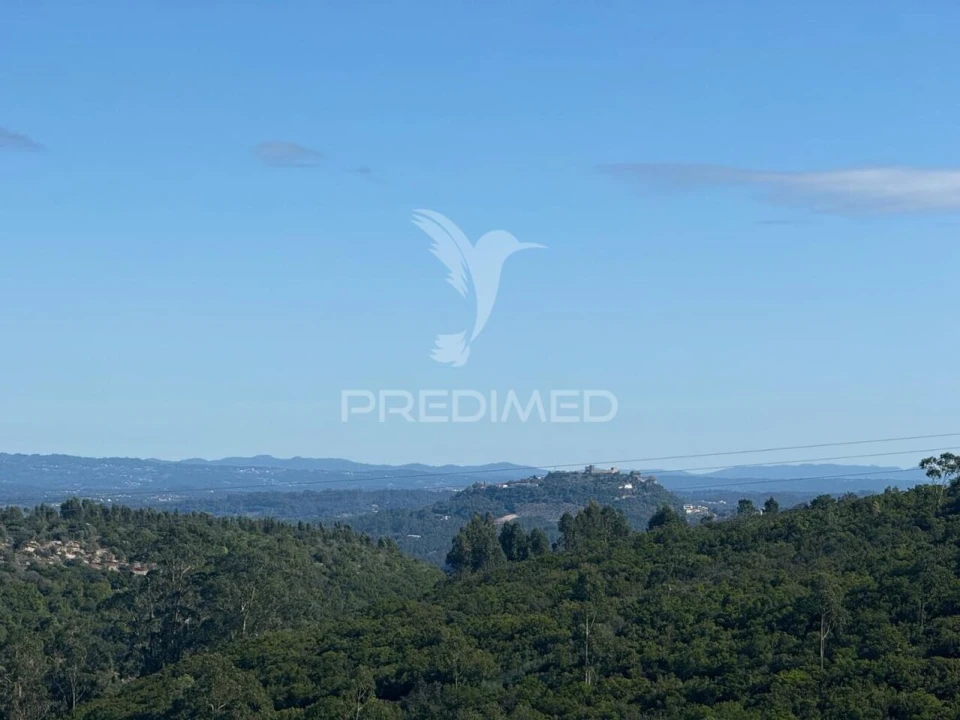 Terreno para Venda em Fatima Foto 7