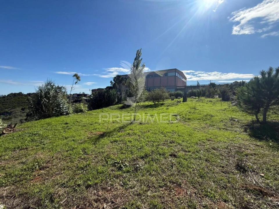 Terreno para Venda em Fatima Foto 6