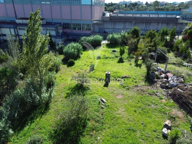 Terreno para Venda em Fatima Foto 14