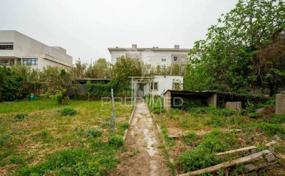 Terreno para Venda em Ajuda Foto 2