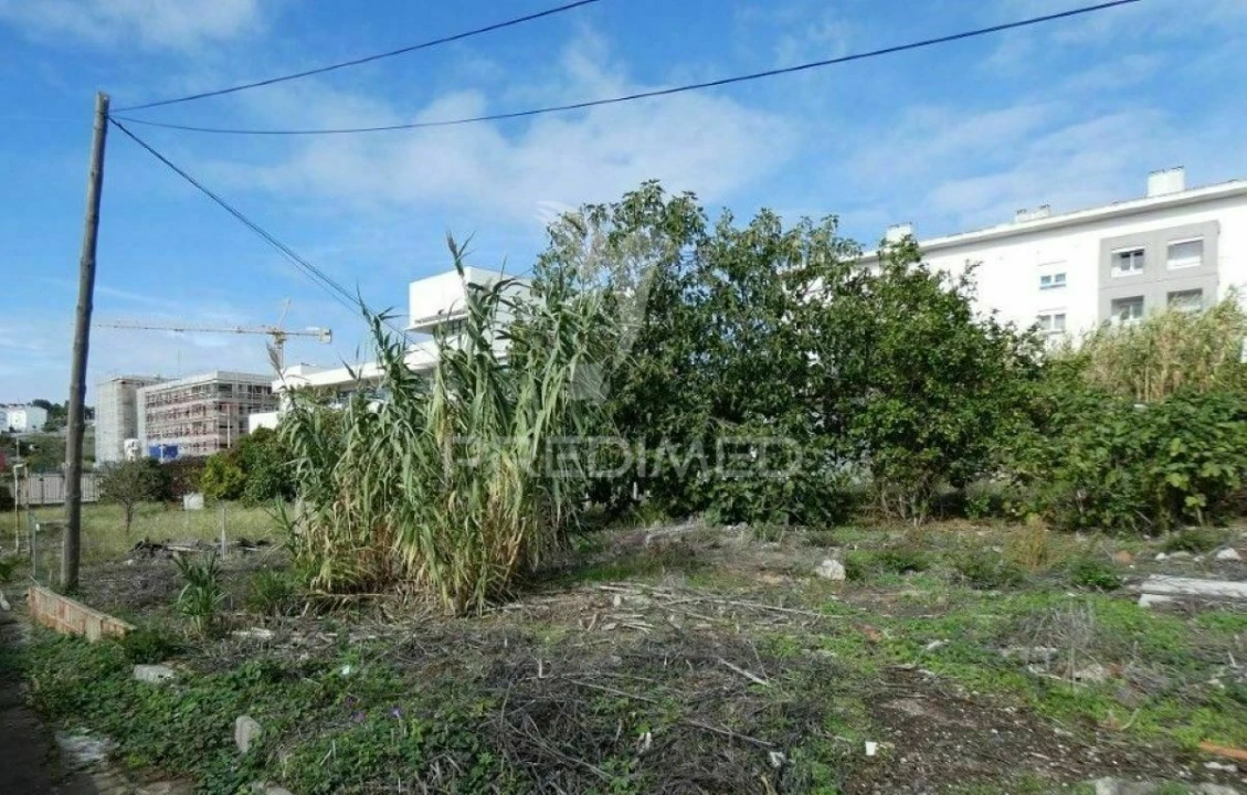 Terreno para Venda em Ajuda Foto 4