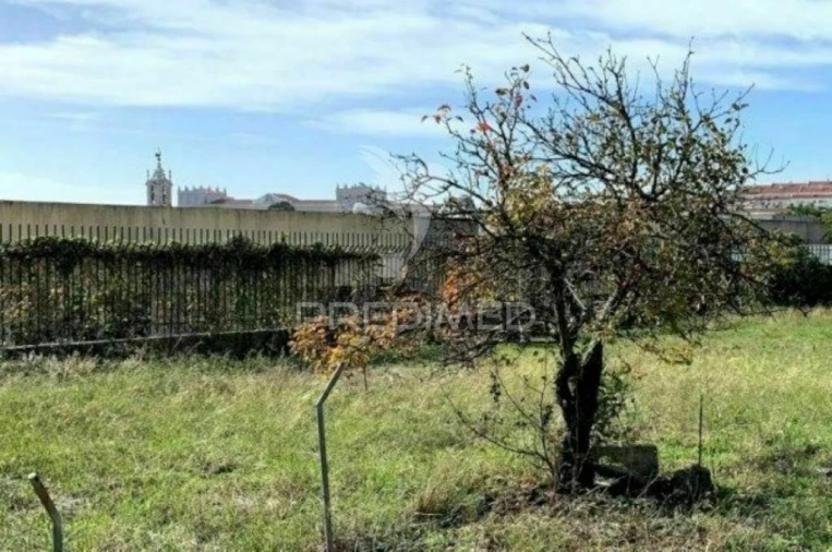 Terreno para Venda em Ajuda Foto 6
