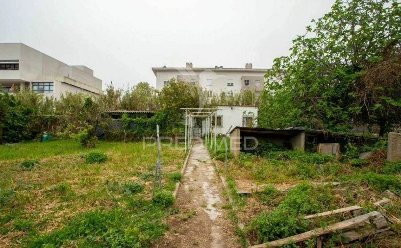 Terreno para Venda em Ajuda Foto 2