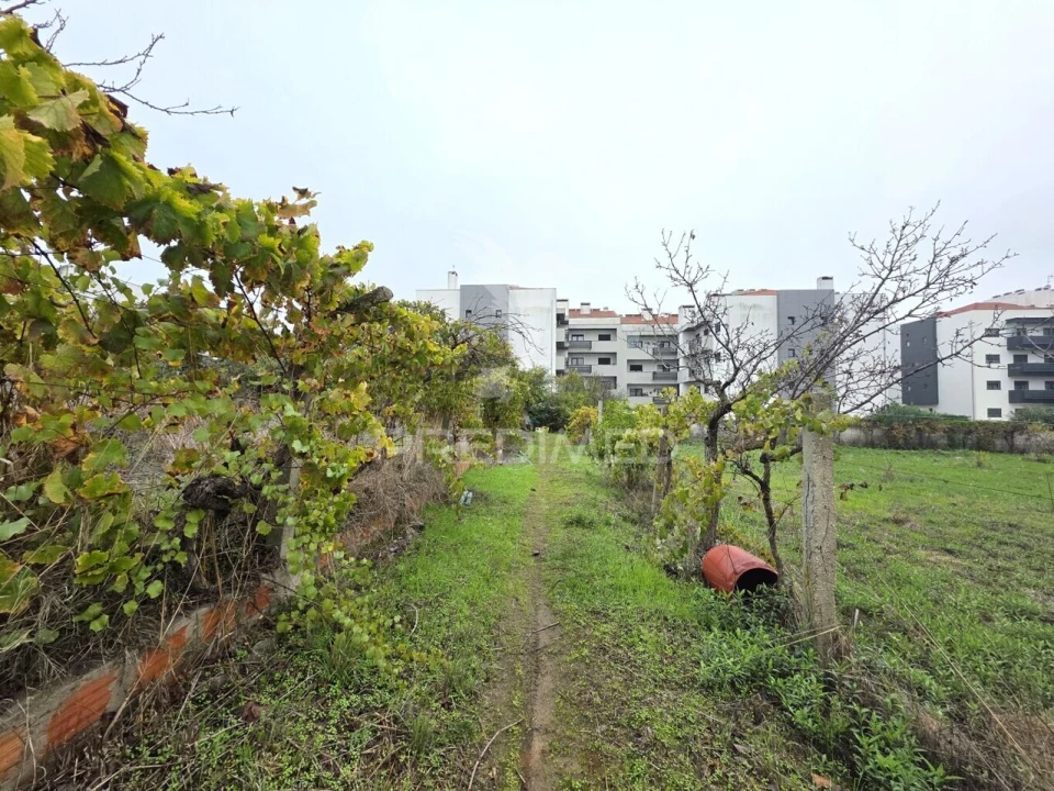 Terreno para Venda em Nossa Sra de Fatima Foto 9