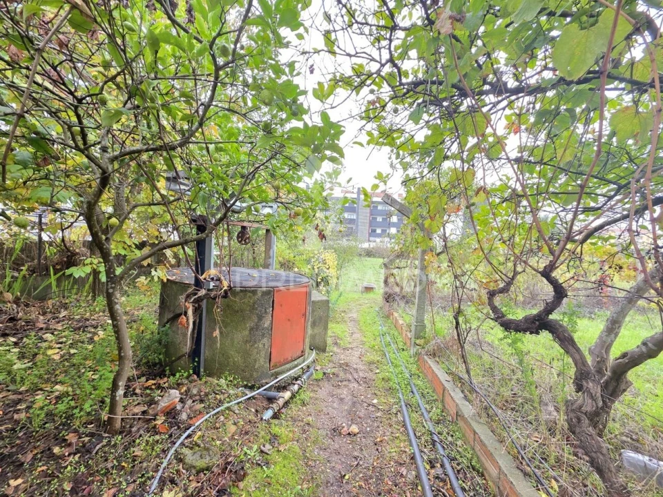 Terreno para Venda em Nossa Sra de Fatima Foto 21