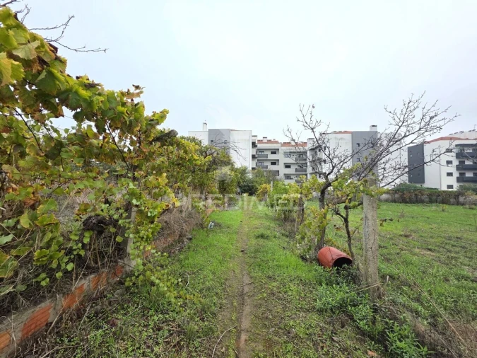 Terreno para Venda em Nossa Sra de Fatima Foto 9