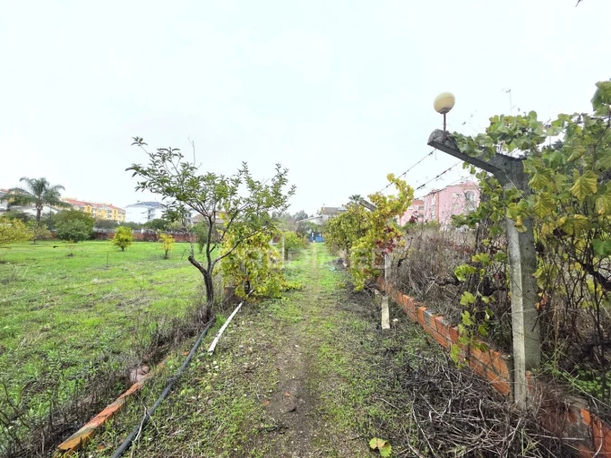 Terreno para Venda em Nossa Sra de Fatima Foto 15