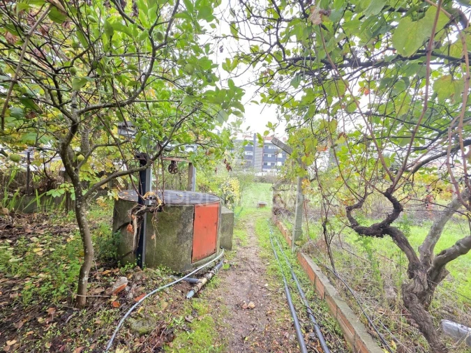 Terreno para Venda em Nossa Sra de Fatima Foto 21