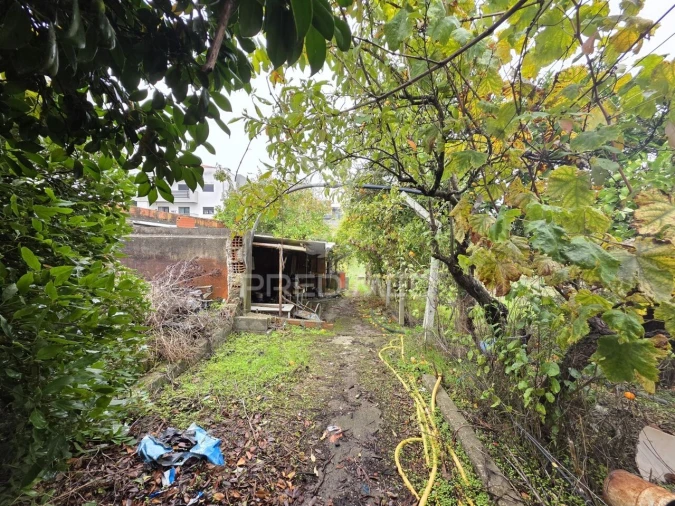 Terreno para Venda em Nossa Sra de Fatima Foto 22