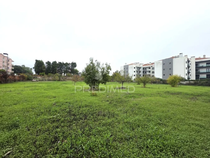 Terreno para Venda em Nossa Sra de Fatima Foto 10