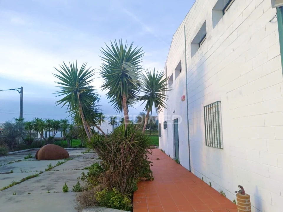 Armazém para Venda em Montoito Foto 16