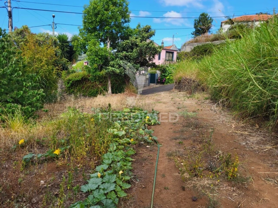 Terreno para Venda em Santa Cruz Foto 4
