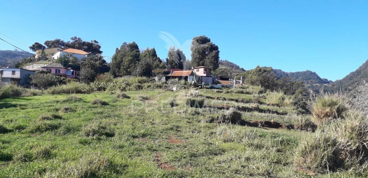 Terreno para Venda em Santa Cruz Foto 8