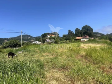 Terreno para Venda em Santa Cruz