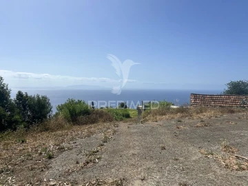 Terreno para Venda em Santa Cruz
