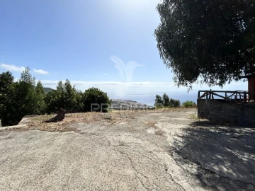 Terreno para Venda em Santa Cruz
