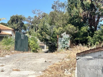 Terreno para Venda em Santa Cruz