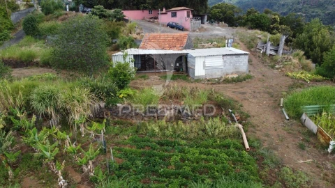 Terreno para Venda em Santa Cruz
