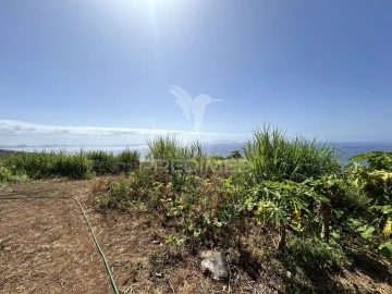 Terreno para Venda em Santa Cruz