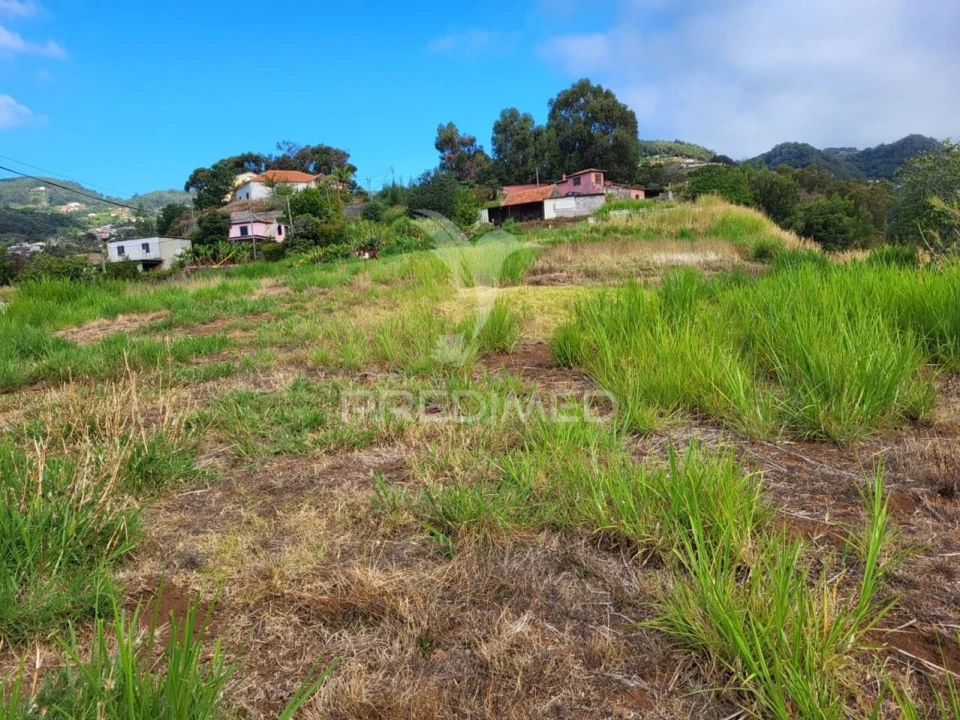 Terreno para Venda em Santa Cruz Foto 6