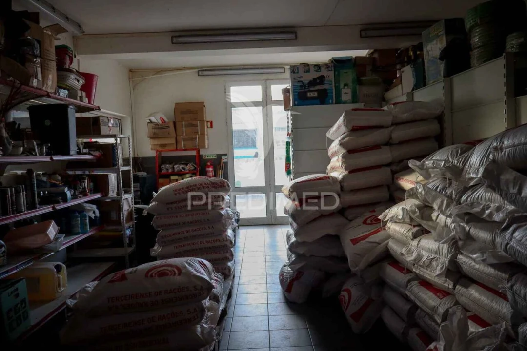 Prédio para Trespasse em Lajes do Pico Foto 14