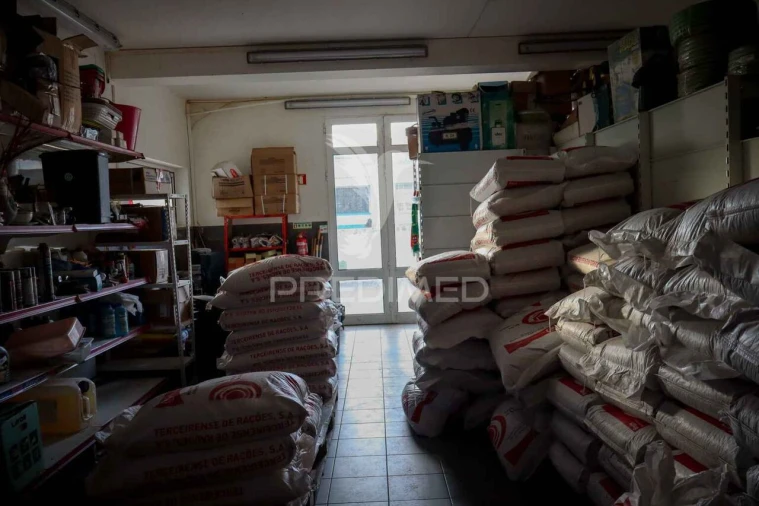 Prédio para Trespasse em Lajes do Pico Foto 14