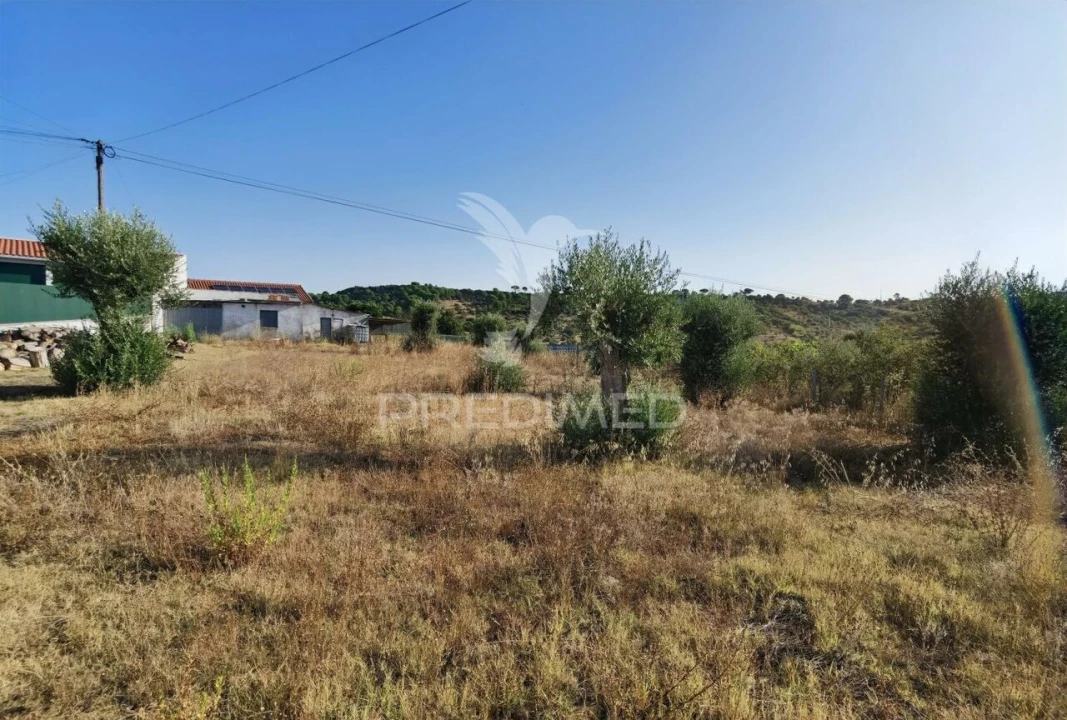 Terreno para Venda em Arneiro das Milhariças Foto 18
