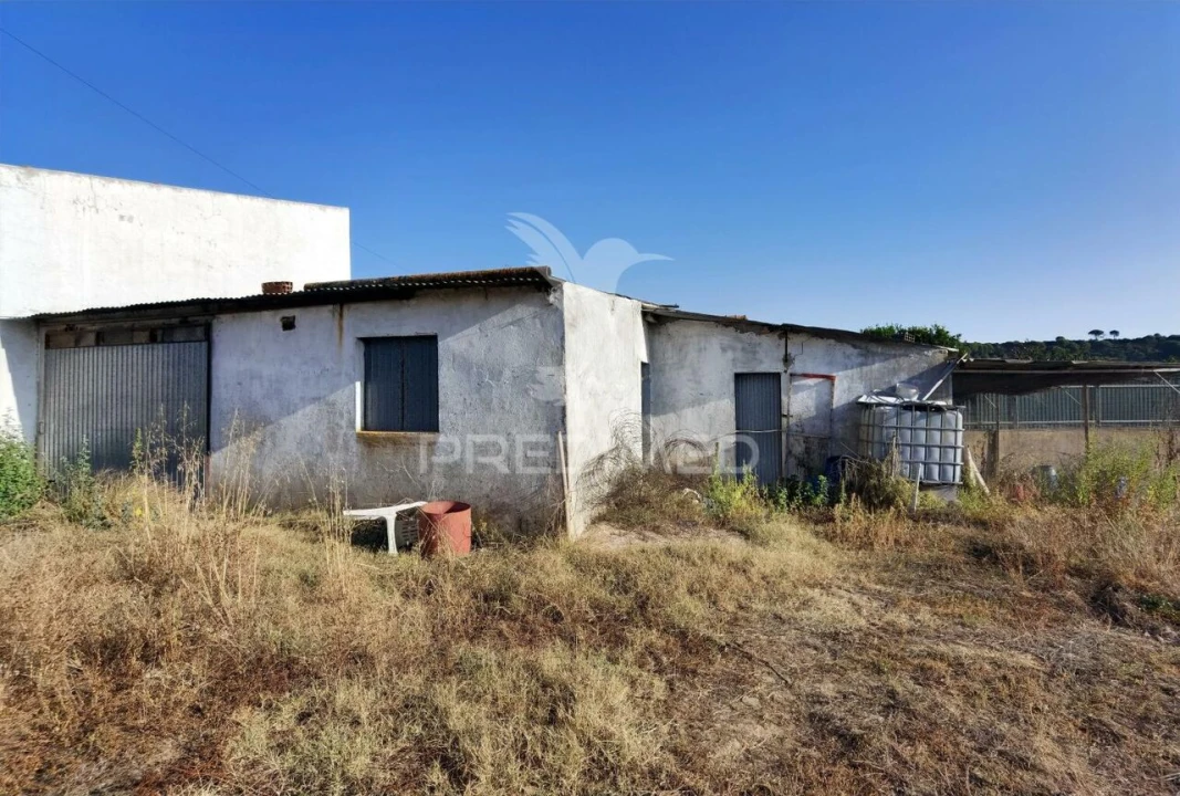 Terreno para Venda em Arneiro das Milhariças Foto 1