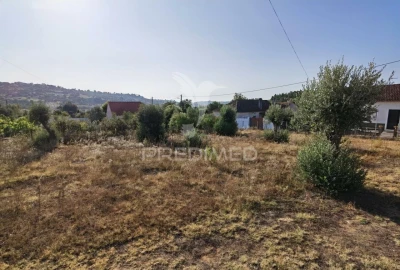 Terreno para Venda em Arneiro das Milhariças