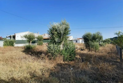 Terreno para Venda em Arneiro das Milhariças
