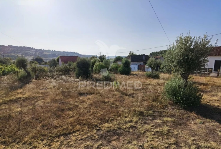 Terreno para Venda em Arneiro das Milhariças Foto 21