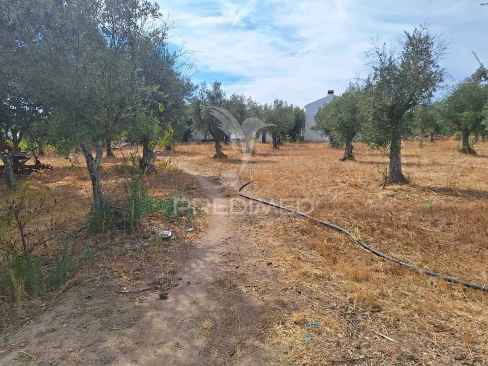 Quinta T3 para Venda em Urra Foto 14