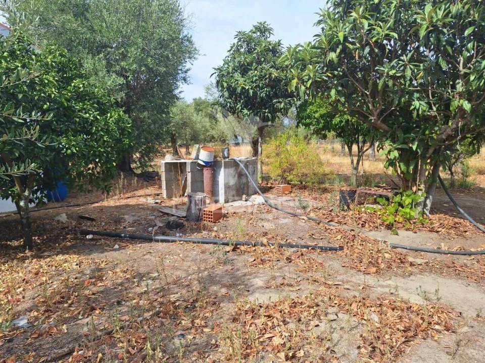 Quinta T3 para Venda em Urra Foto 15