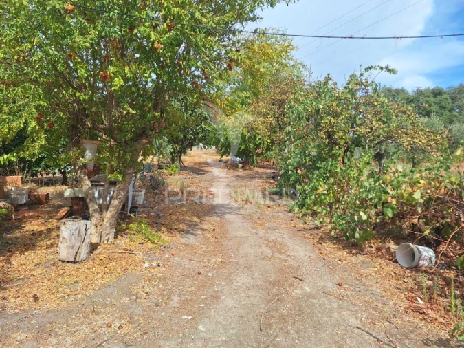 Quinta T3 para Venda em Urra Foto 11