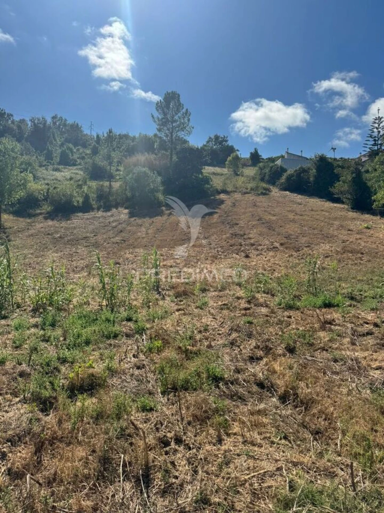 Terreno para Venda em Leiria, Pousos, Barreira e Cortes Foto 14