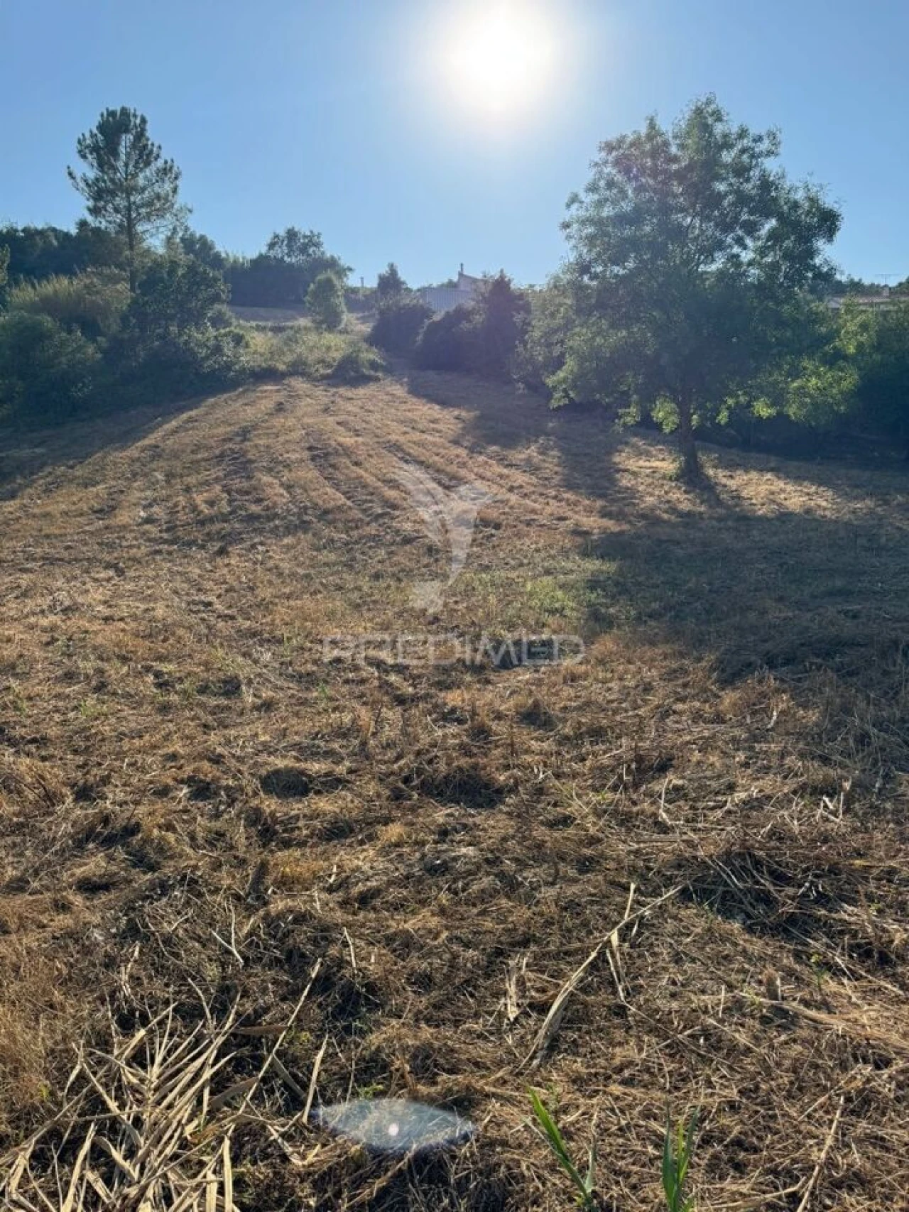 Terreno para Venda em Leiria, Pousos, Barreira e Cortes Foto 16