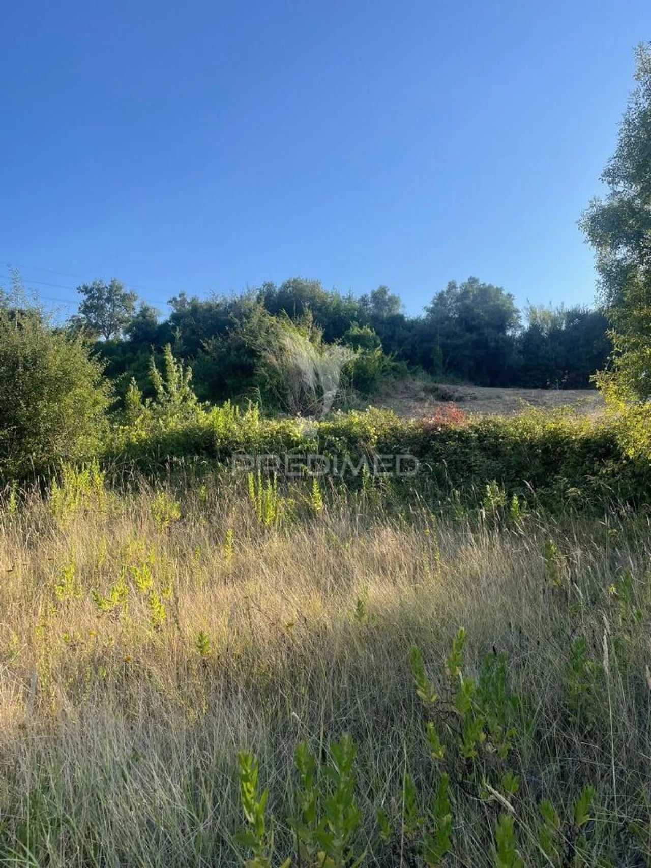 Terreno para Venda em Leiria, Pousos, Barreira e Cortes Foto 11