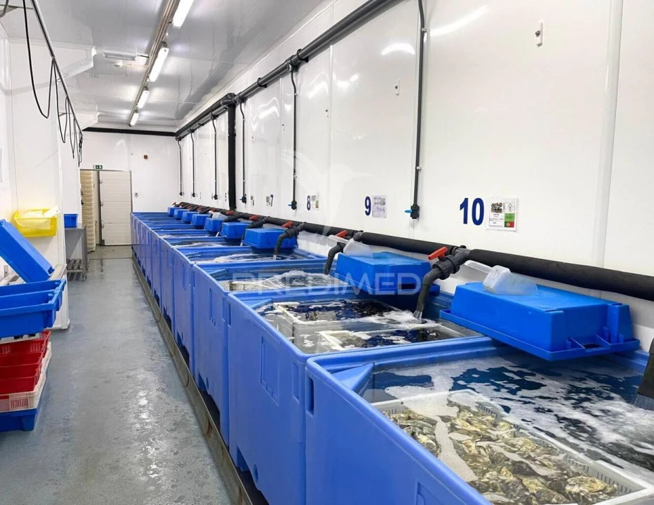 Armazém para Venda em Sines Foto 6