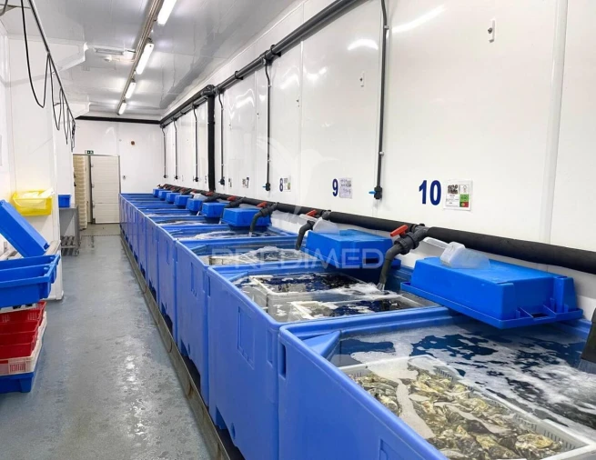 Armazém para Venda em Sines Foto 6