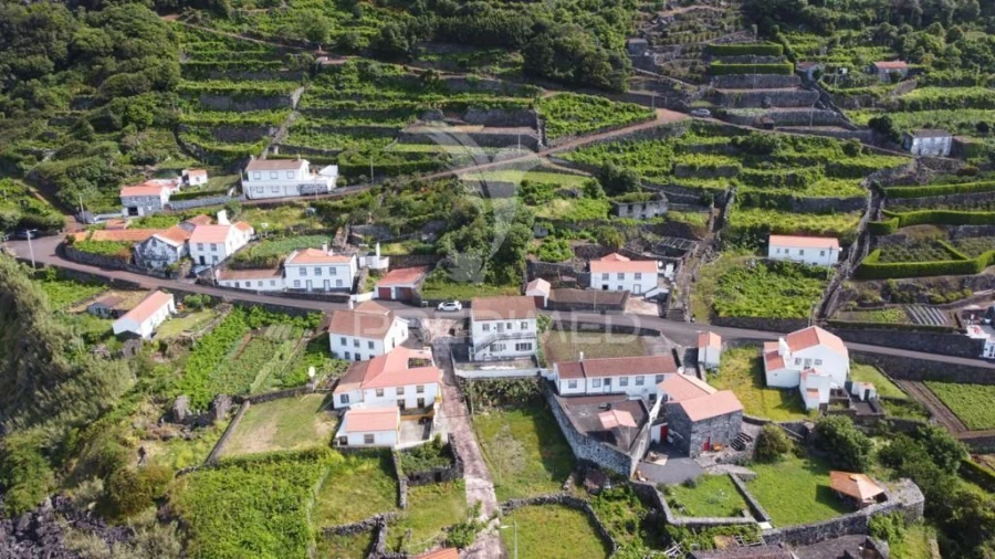 Moradia T2 para Venda em Ribeira Seca Foto 30