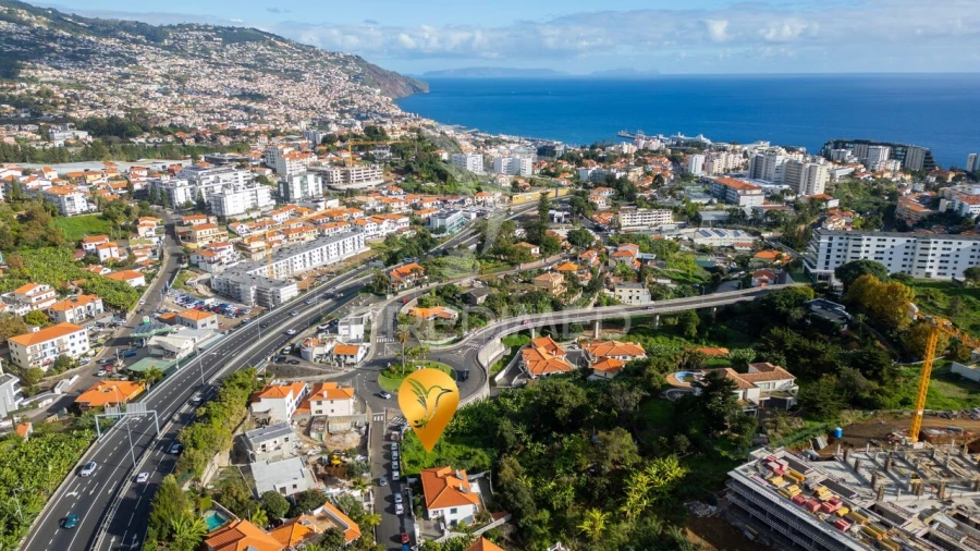 Terreno para Venda em São Martinho Foto 15