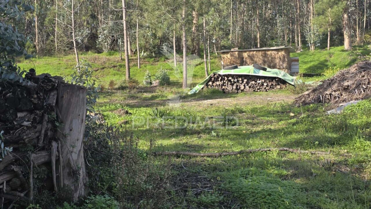 Terreno para Venda em Caranguejeira Foto 22