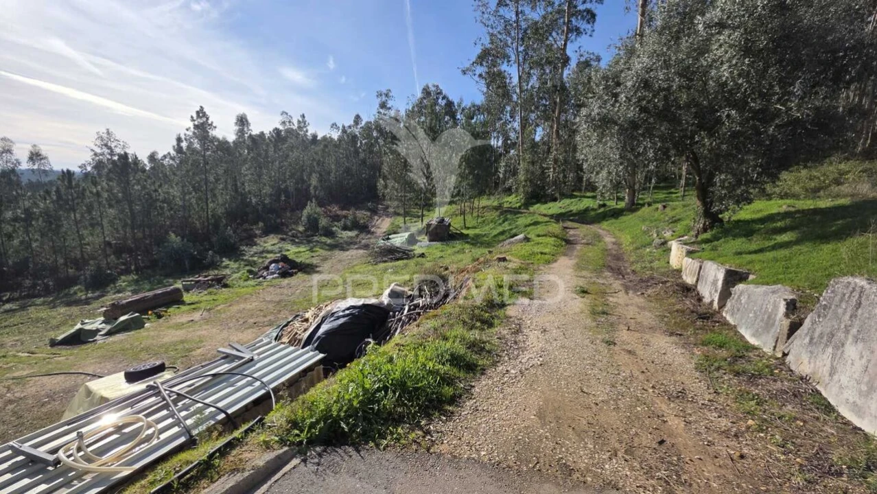 Terreno para Venda em Caranguejeira Foto 29