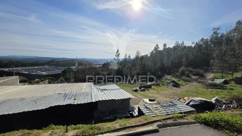 Terreno para Venda em Caranguejeira