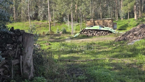 Terreno para Venda em Caranguejeira