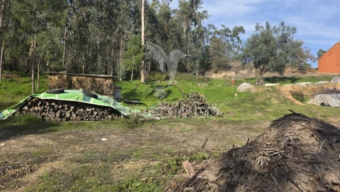 Terreno para Venda em Caranguejeira