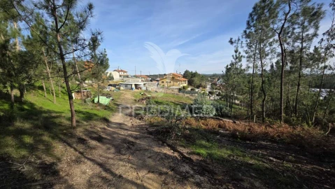 Terreno para Venda em Caranguejeira